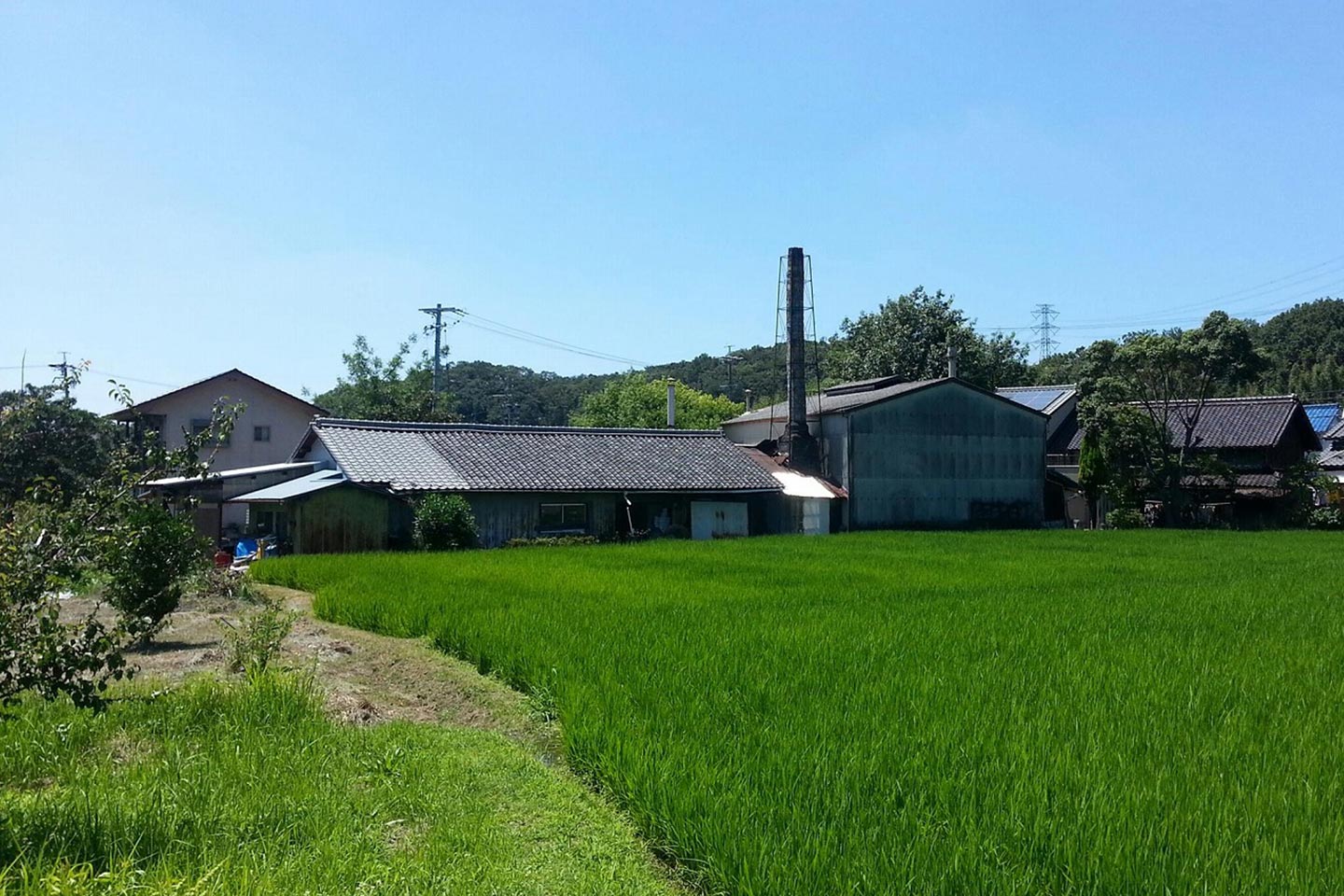 食器_3,和文化_3