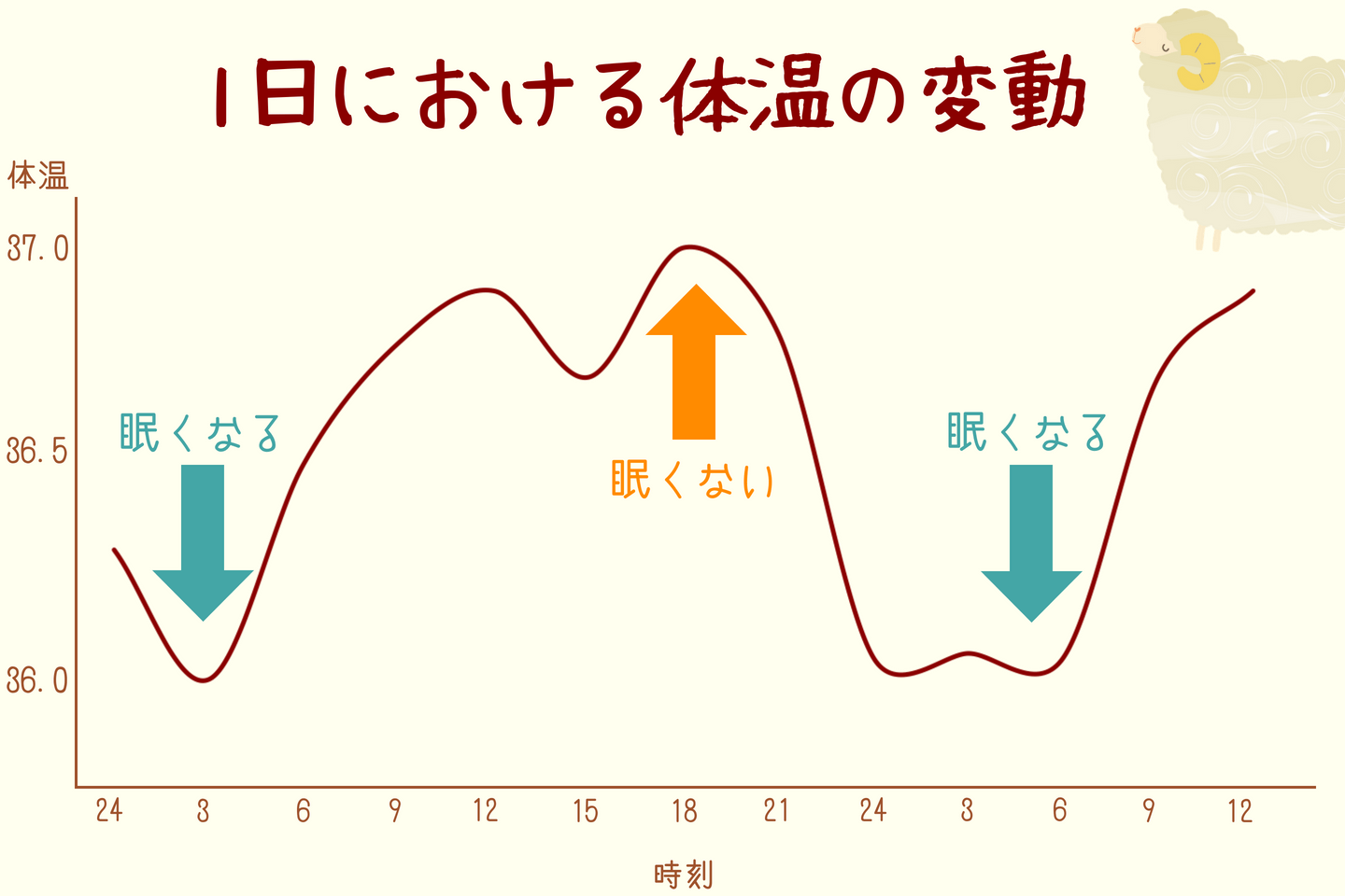 人の体温は1日の間に約1℃上下します。体温が下がったときが睡眠のポイントです