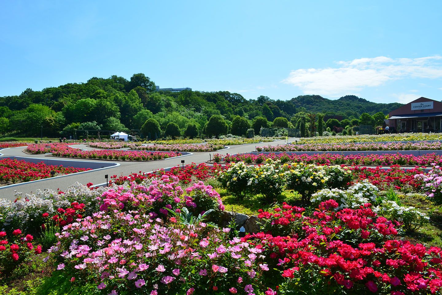 花_1,はちみつ_1,手土産_1