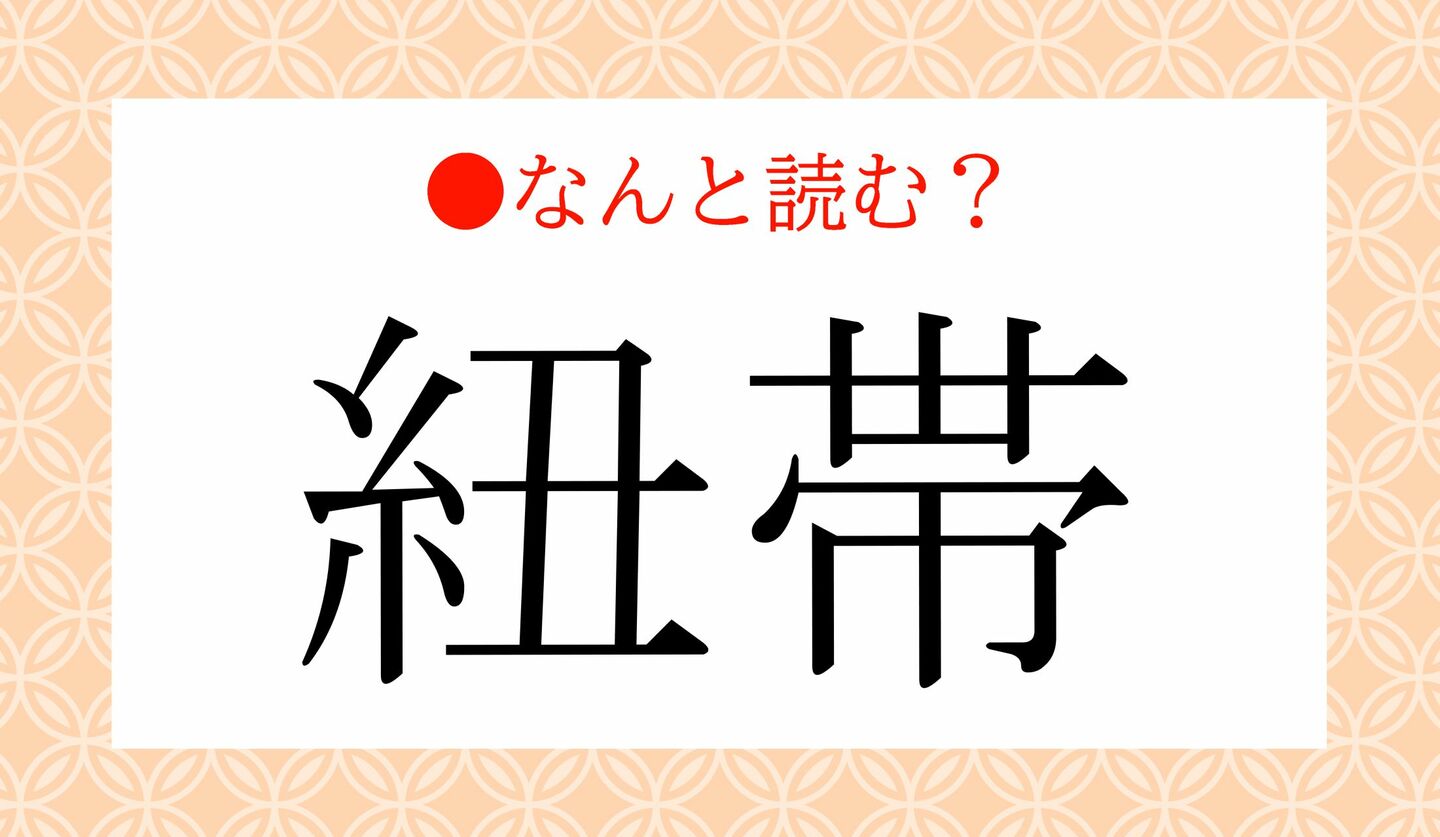日本語クイズ　出題画像　難読漢字　「紐帯」なんと読む？
