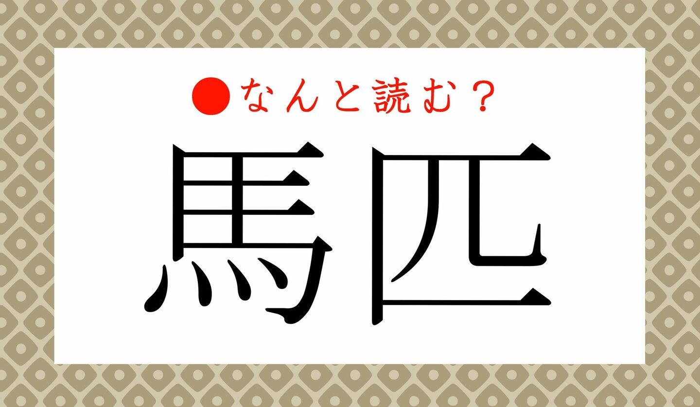 日本語クイズ　出題画像　難読漢字　「馬匹」なんと読む？