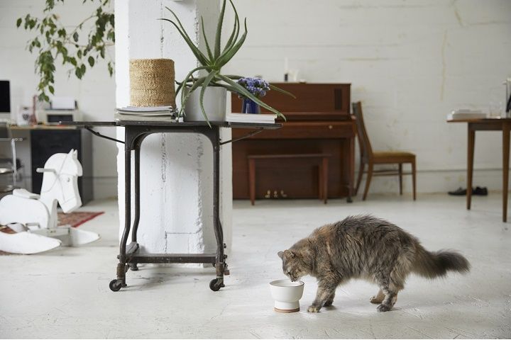 水飲みが苦手な様子も可愛いけれど…実は猫にとっての「飲みやすい高さ」や「安定感」が器に足りなかったのかも。
