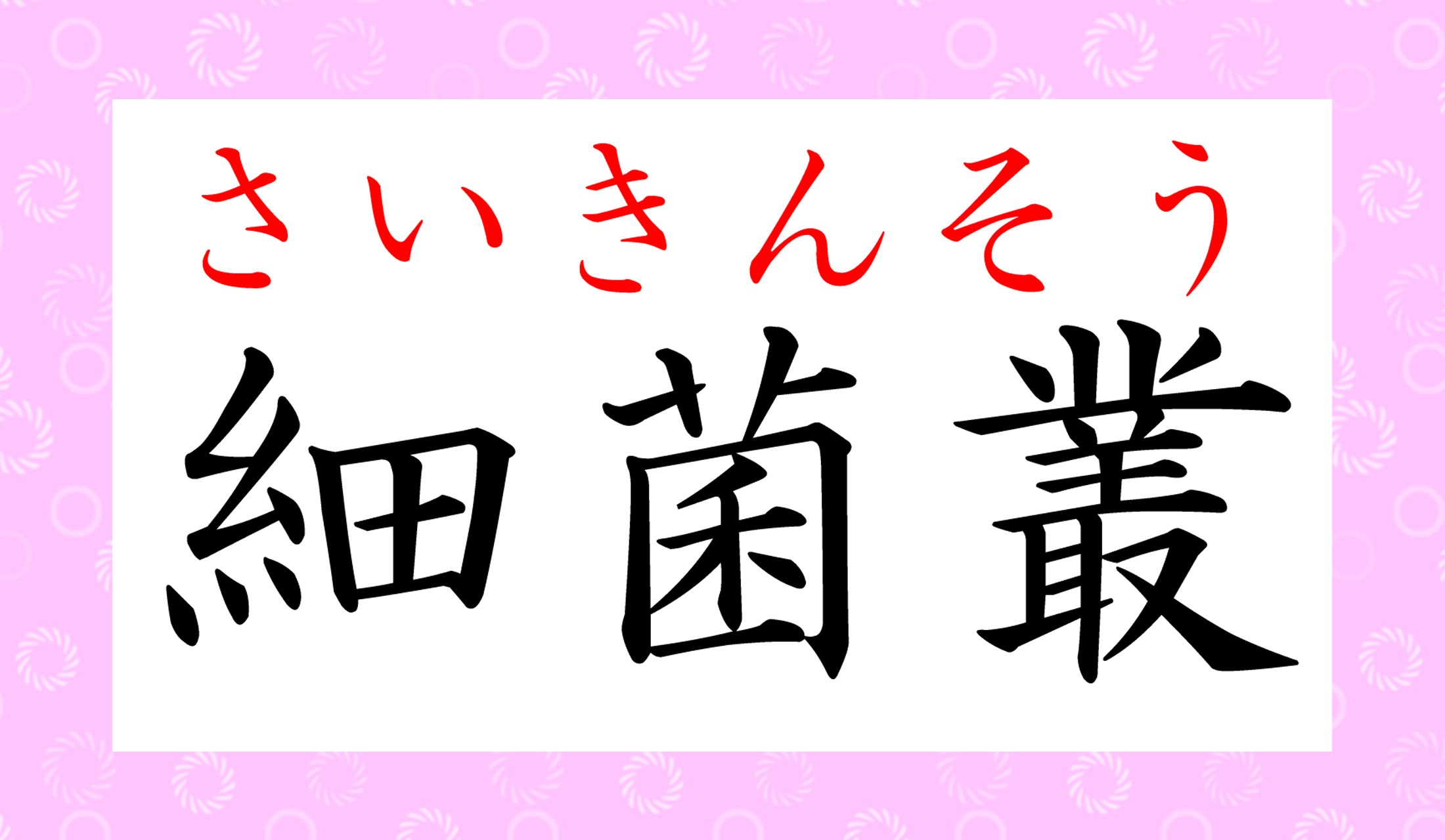 なんだか医学的でとっついにくいイメージですが…
