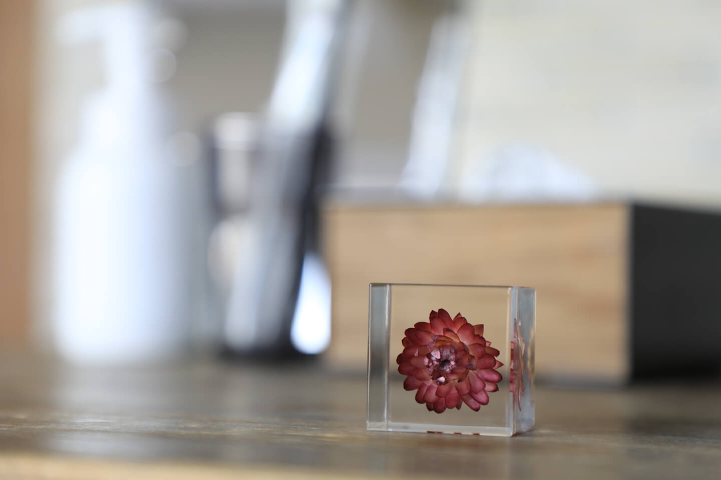 「Sola cube」はInstagramなどのSNSでも人気です