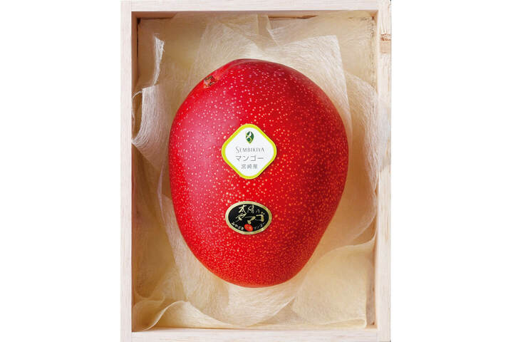 宮崎県産 完熟マンゴー[太陽のタマゴ] 1個 4Lサイズ 桐箱入　¥19.980（税込）