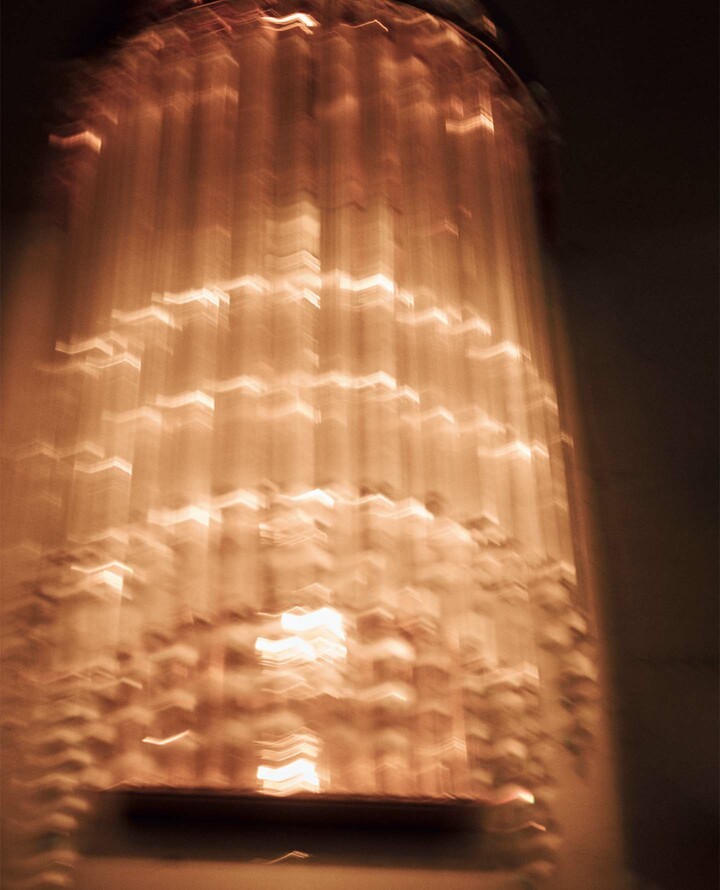 藤森星児氏撮影による写真