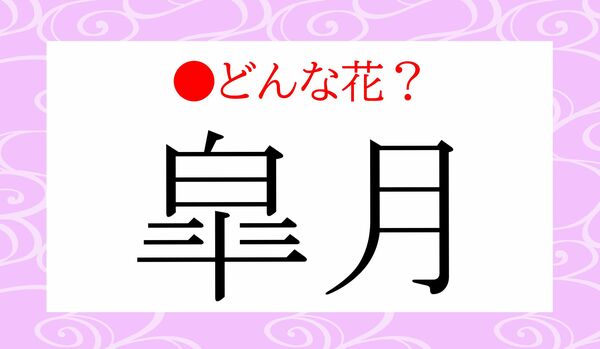 日本人なら知っておきたい！「皐月」ってどういう花？