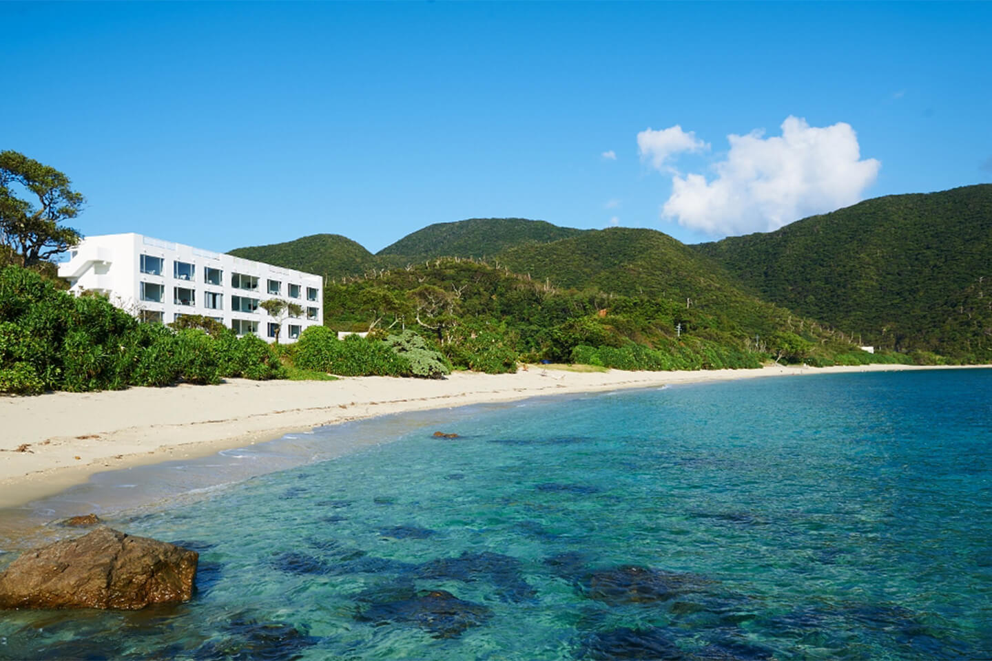 ラグジュアリーなひとり旅にふさわしい青い海(写真提供:THE SCENE amami spa&resort)