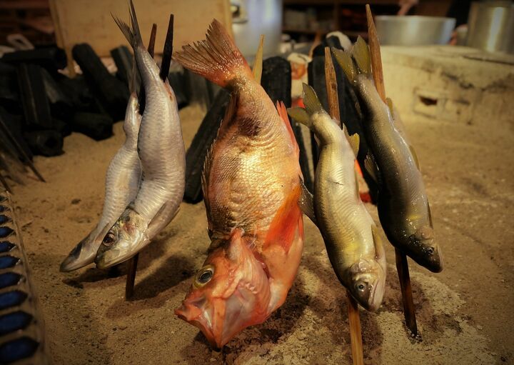 カウンター越しにじっくり焼けるのを見ることができる炉端