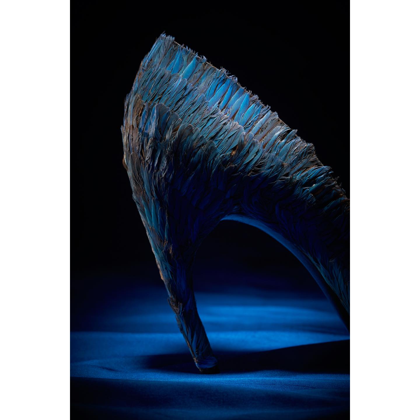 不思議な青い光沢のカワセミの羽根つきパンプス。「クロック」ヒール。1959年 Christian Dior by Roger Vivier. The Metropolitan Museum of Art collection, New York. ©︎Gérard Uféras