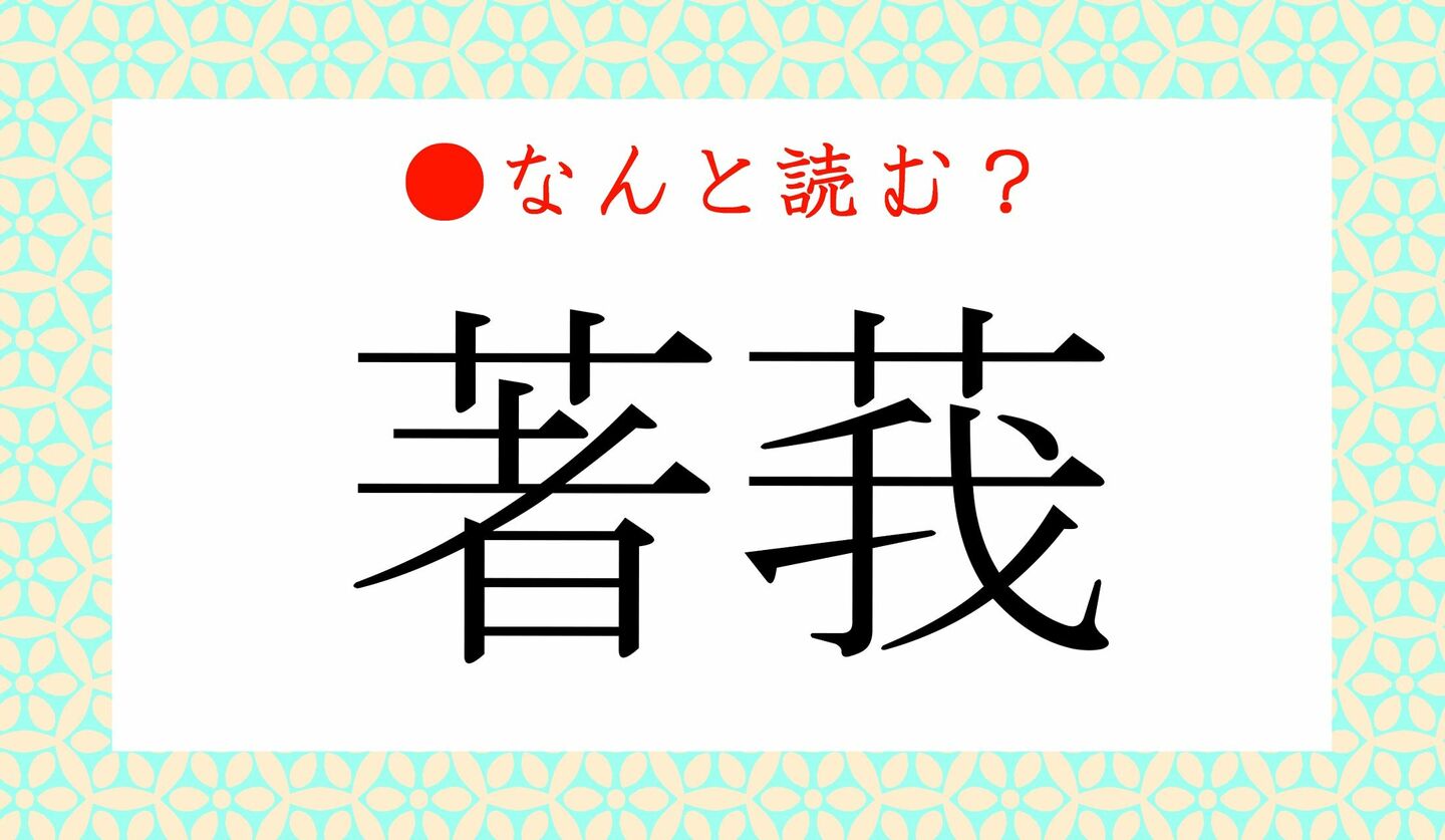 日本語クイズ　出題画像　難読漢字　「著莪」なんと読む？