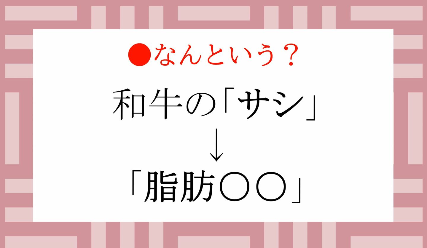 日本語クイズ 出題画像 和牛の「サシ」→「脂肪○○」 なんという?