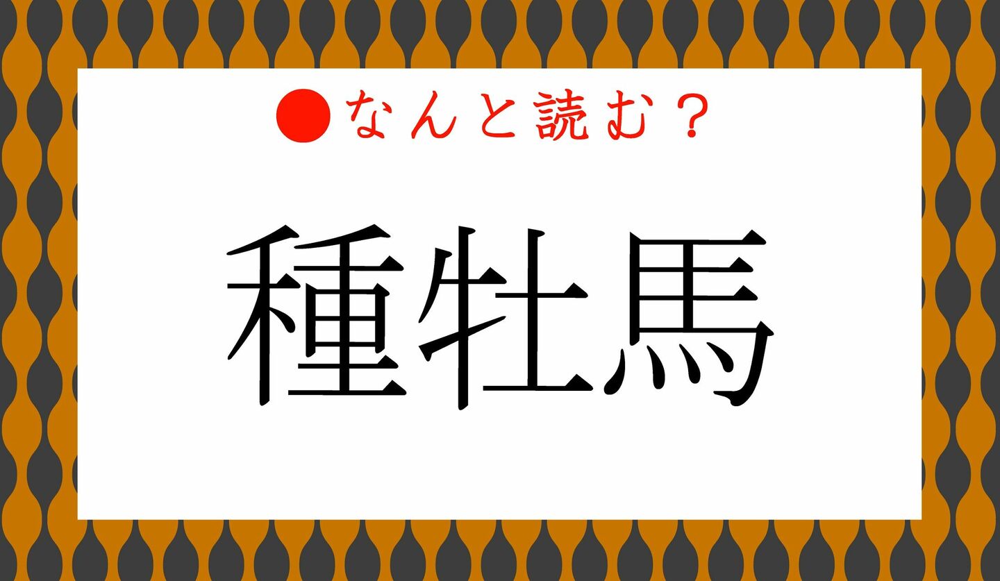 日本語クイズ　出題画像　難読漢字　「種牡馬」なんと読む？