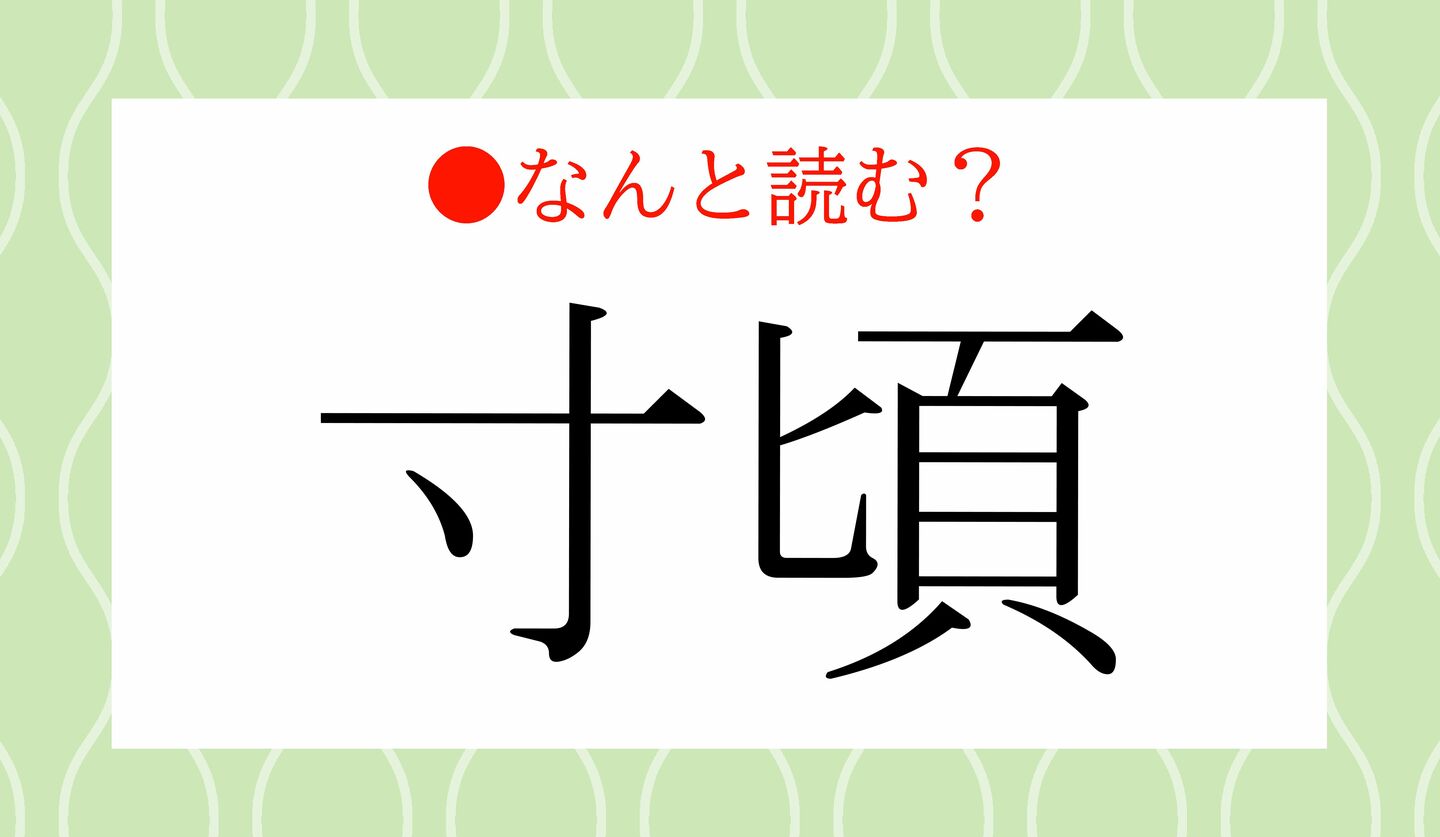 日本語クイズ　出題画像　難読漢字　「寸頃」なんと読む？