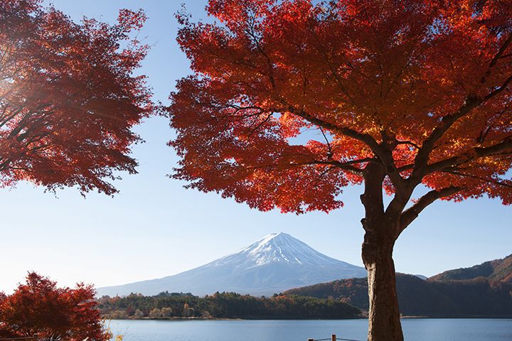 季語「紅葉」を使った時候の挨拶