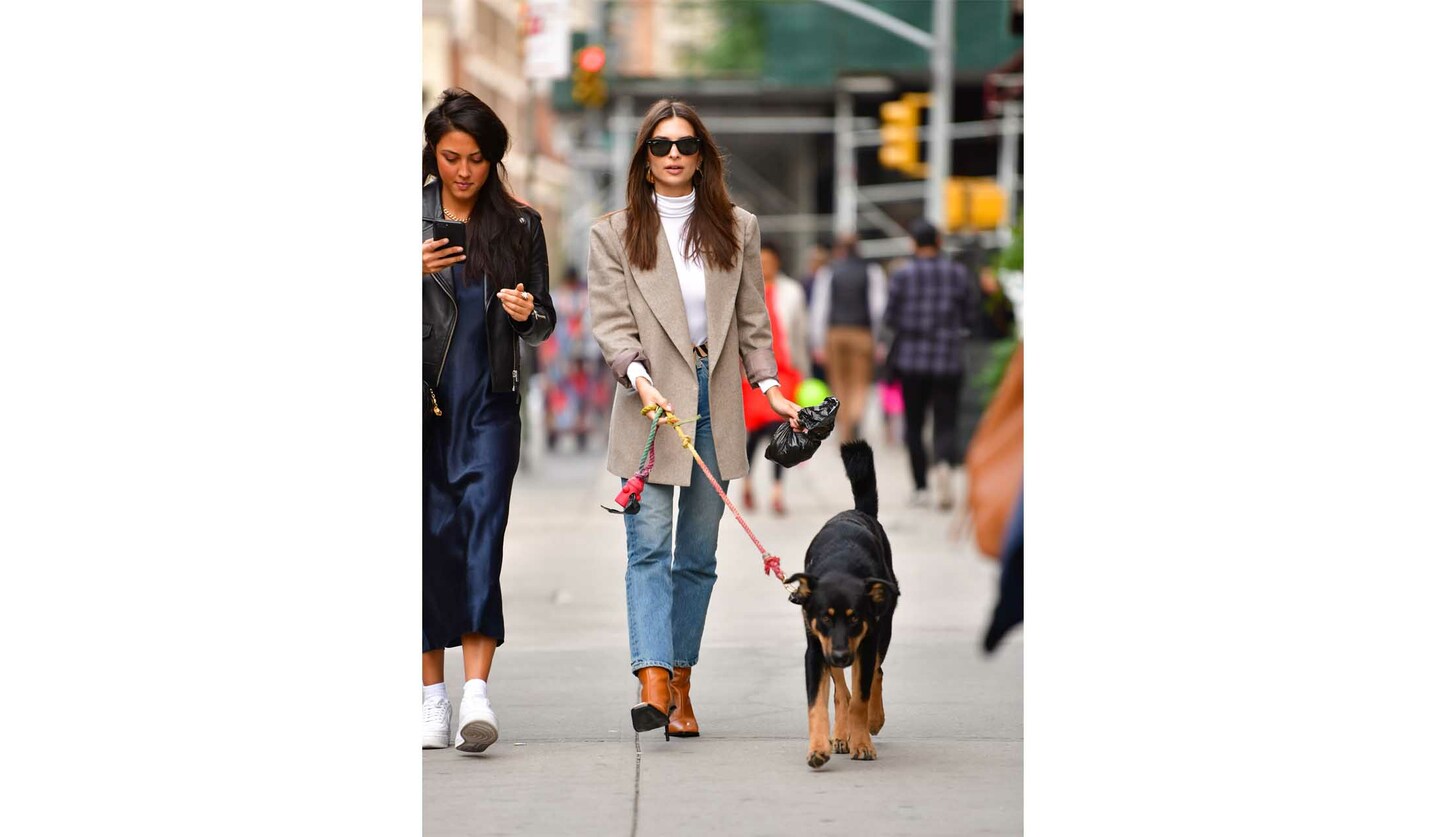 愛犬と散歩をする3人の女性