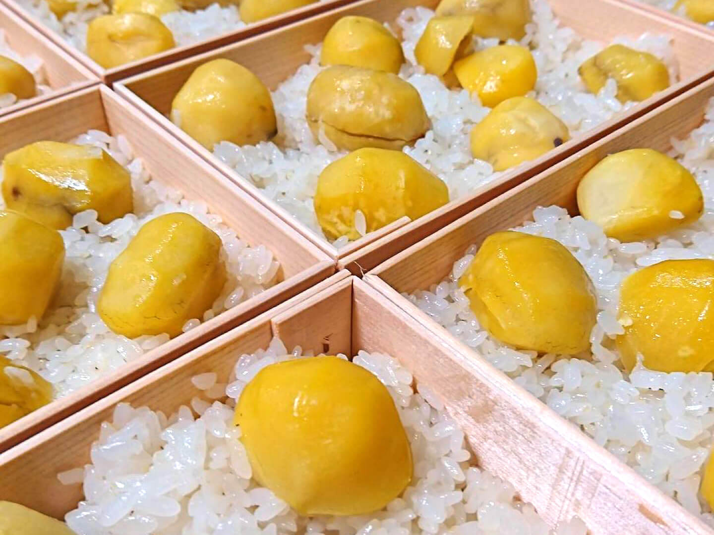 和栗やの「栗おこわ」は2017年11月末までの季節限定メニュー。1合折¥1,500(税込)