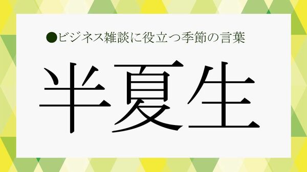 「半夏生」とは？ 梅雨の終わりに訪れる、日本人の暮らしの知恵【大人の語彙力強化塾】