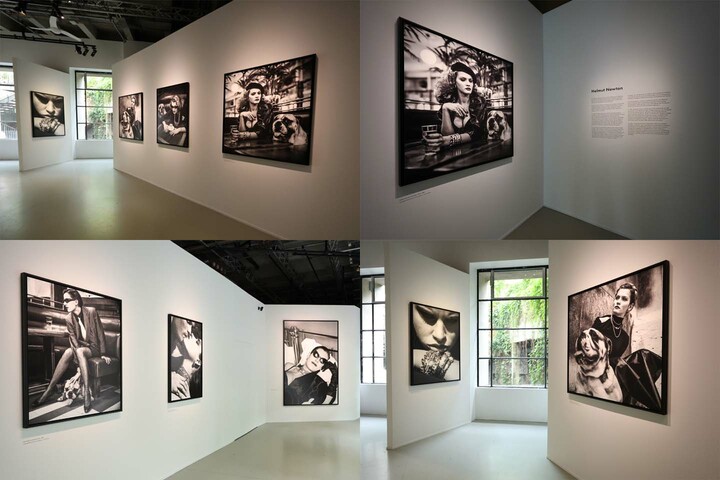 パリで開催中のポメラートの展覧会『ポメラート ― 革新のジュエラー』の告知ビジュアルと会場写真