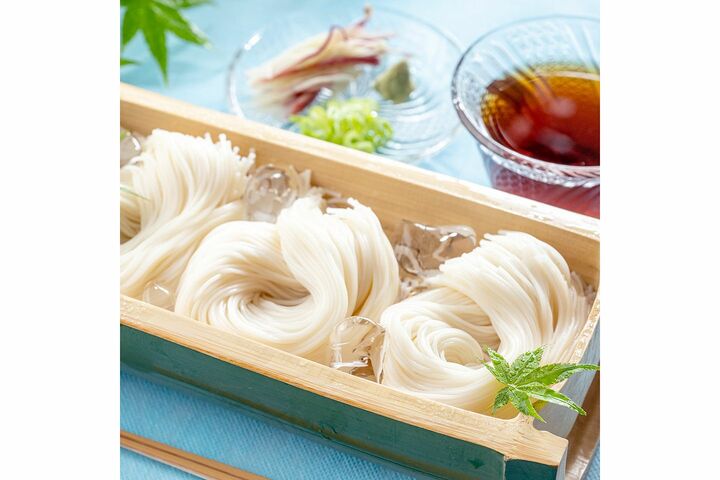 和文化_20,そうめん_20,プレゼント_20