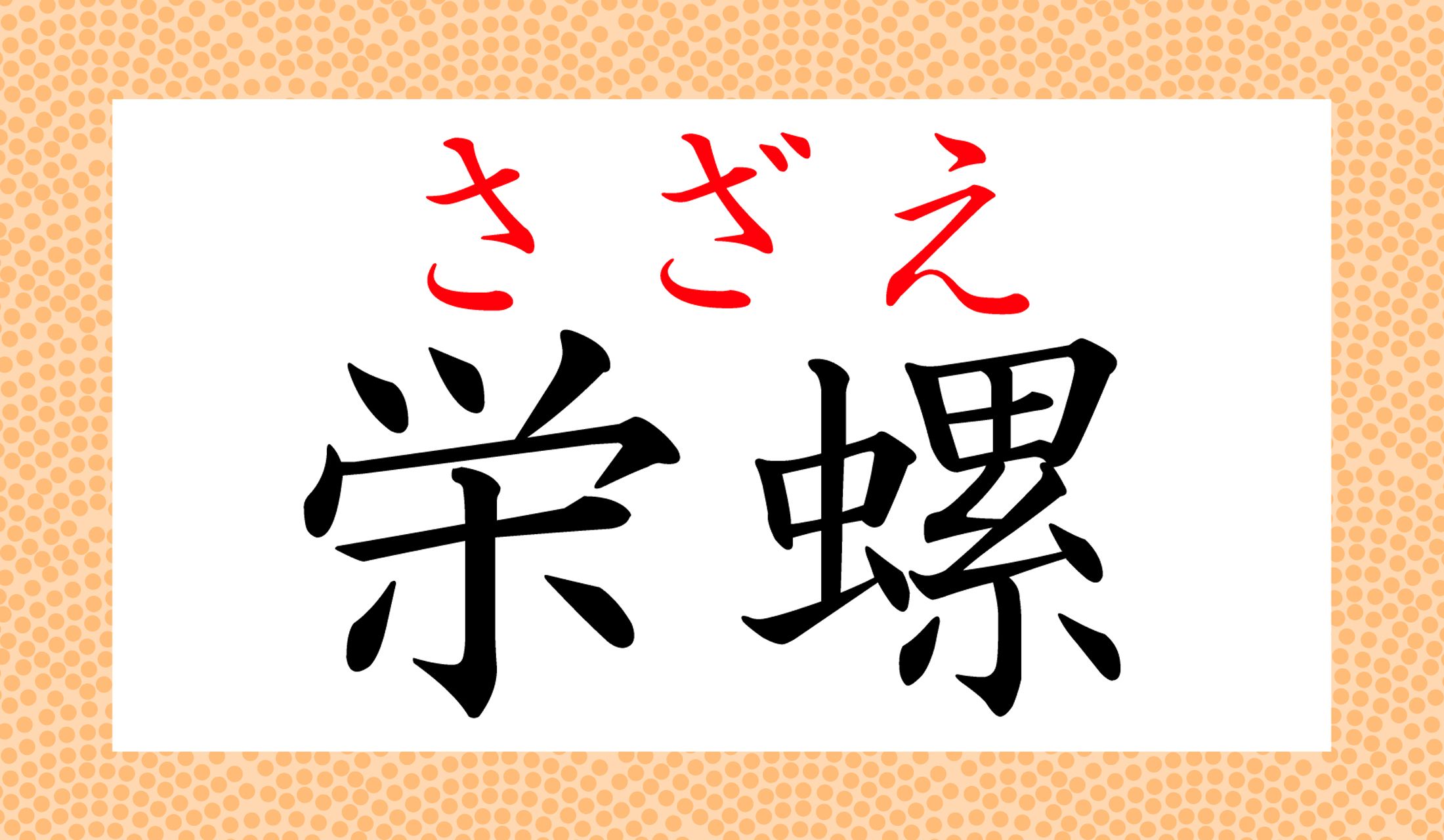 古くは「栄螺(さざい)」とも読まれました。