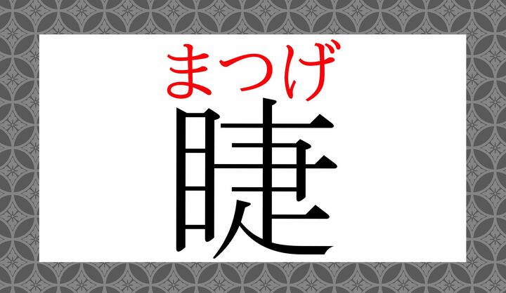「睫毛（まつげ）」とも表記します。