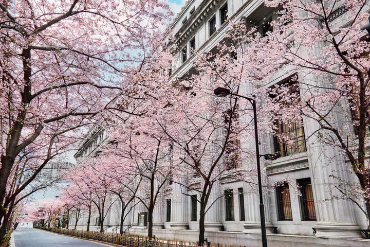 スイーツ_5,手土産_5,ホテル_5,旅行_5,国内旅行_5,東京_5