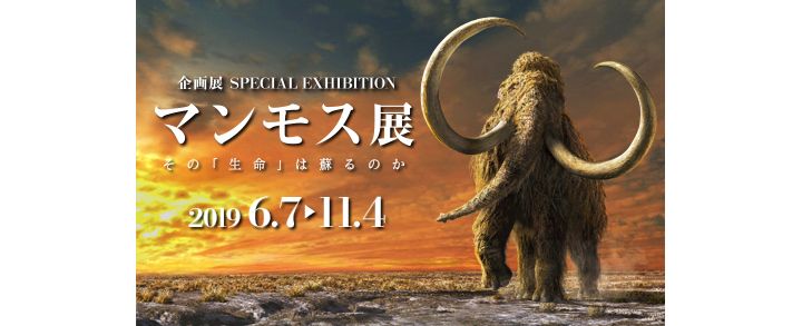 「マンモス展」-その『生命』は蘇るのか-