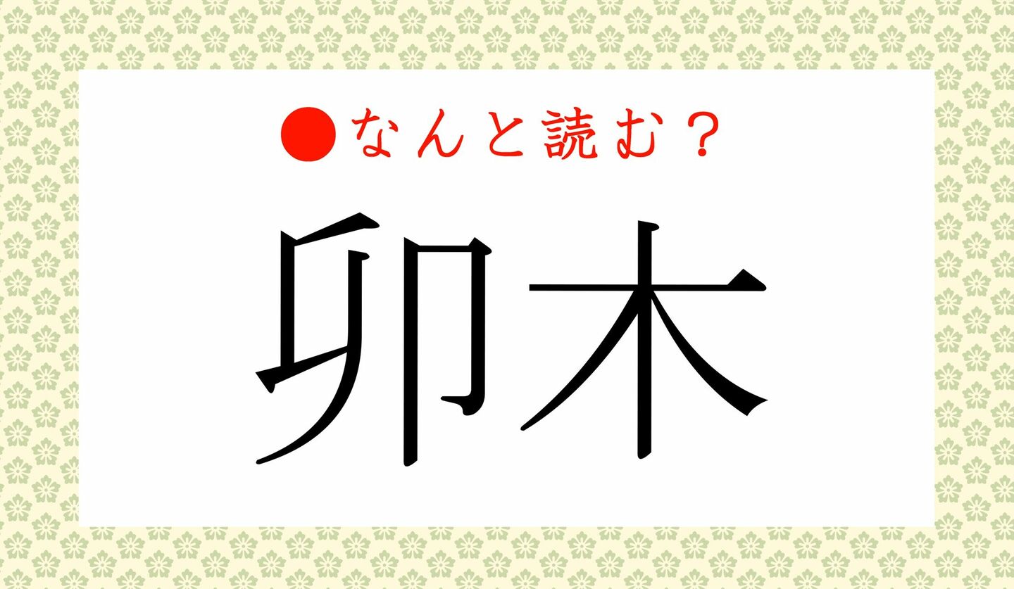 日本語クイズ　出題画像　難読漢字　「卯木」なんと読む？