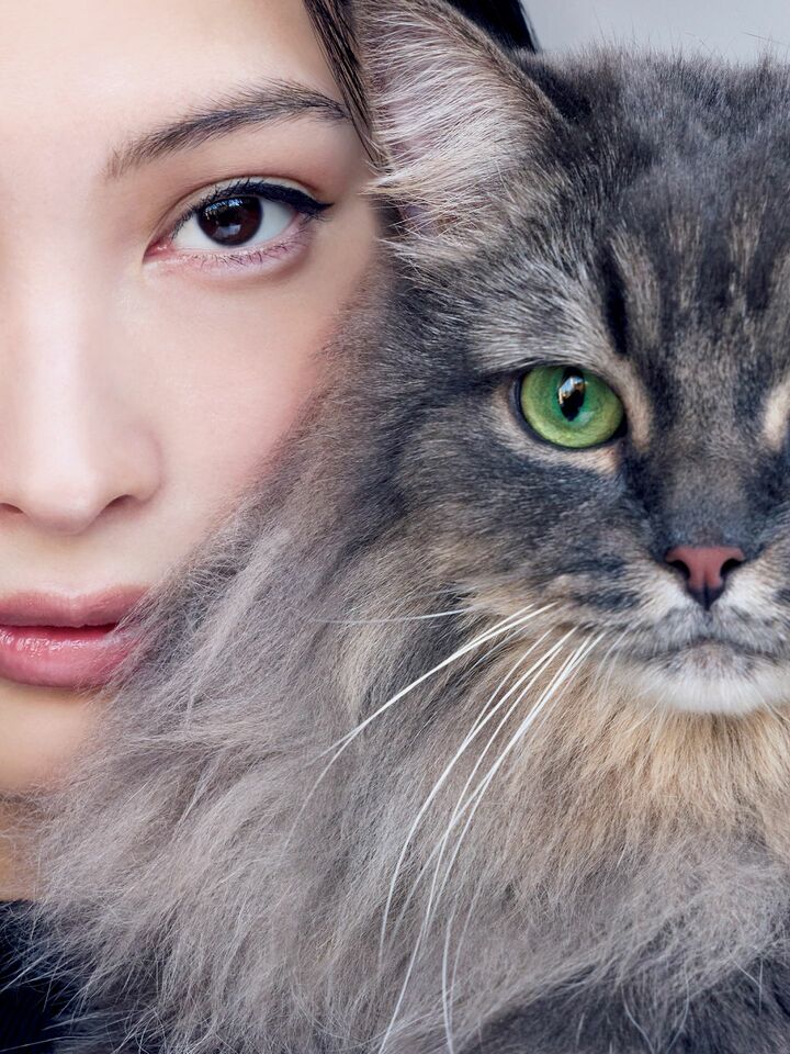 猫を抱いたモデルの大政 絢さん