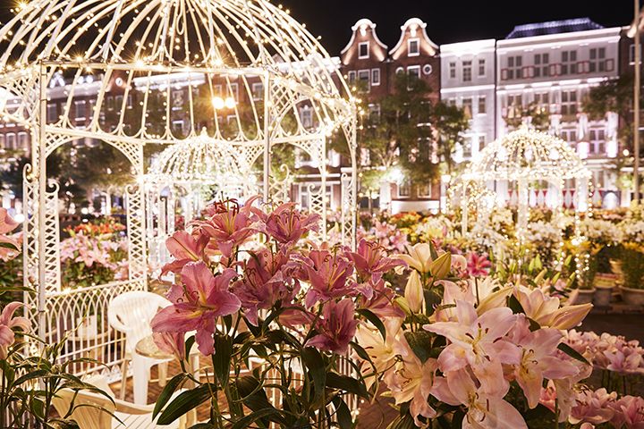 夜になるとゆりの広場がライトアップされます