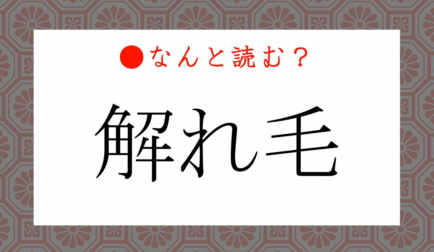 日本語クイズ　出題画像　難読漢字　「解れ毛」なんと読む？