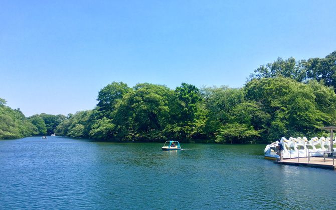 井の頭恩賜公園の池