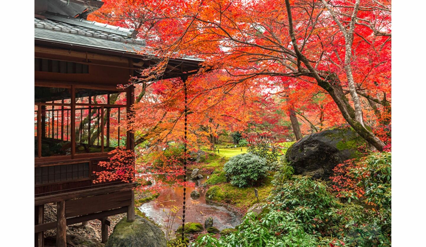 京都ブライトンホテルの「秋の特別早朝拝観プラン」・宝厳院の庭園