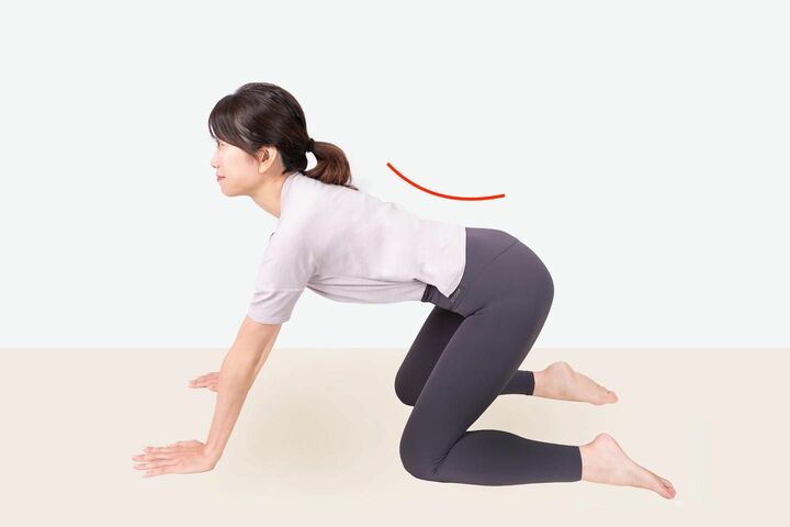 骨盤をやや前に傾けるように背中を伸ばす