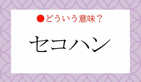 「セコハン」ってどういう意味？正確に知っていますか？