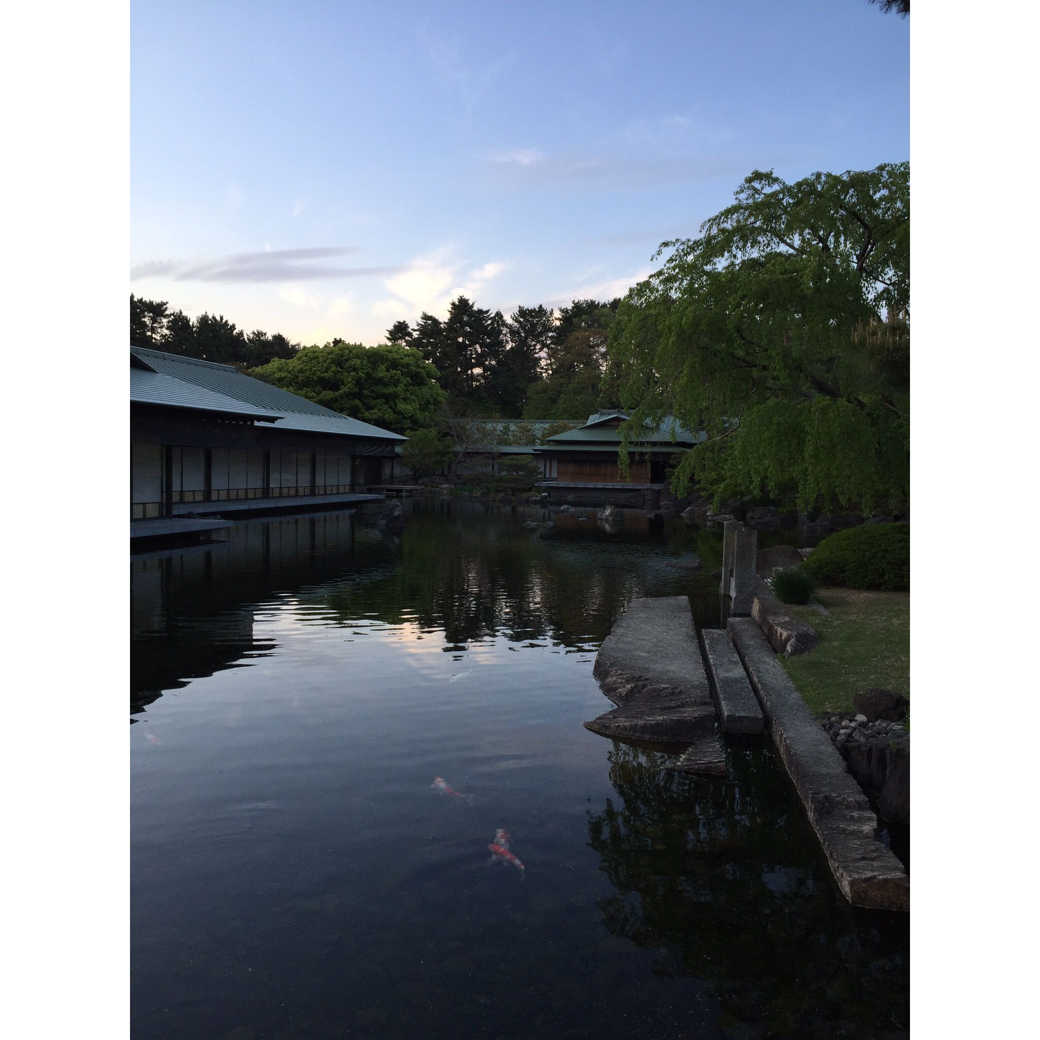 京都御苑の広大な敷地の中に位置する京都迎賓館。建物と庭とが渾然一体となって調和するその光景は、まさに「庭屋一如」のコンセプトにふさわしい。