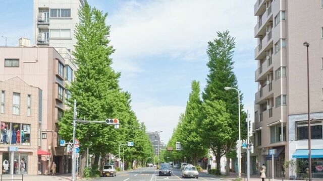 白金台 カフェ ブルゾン 販売済み