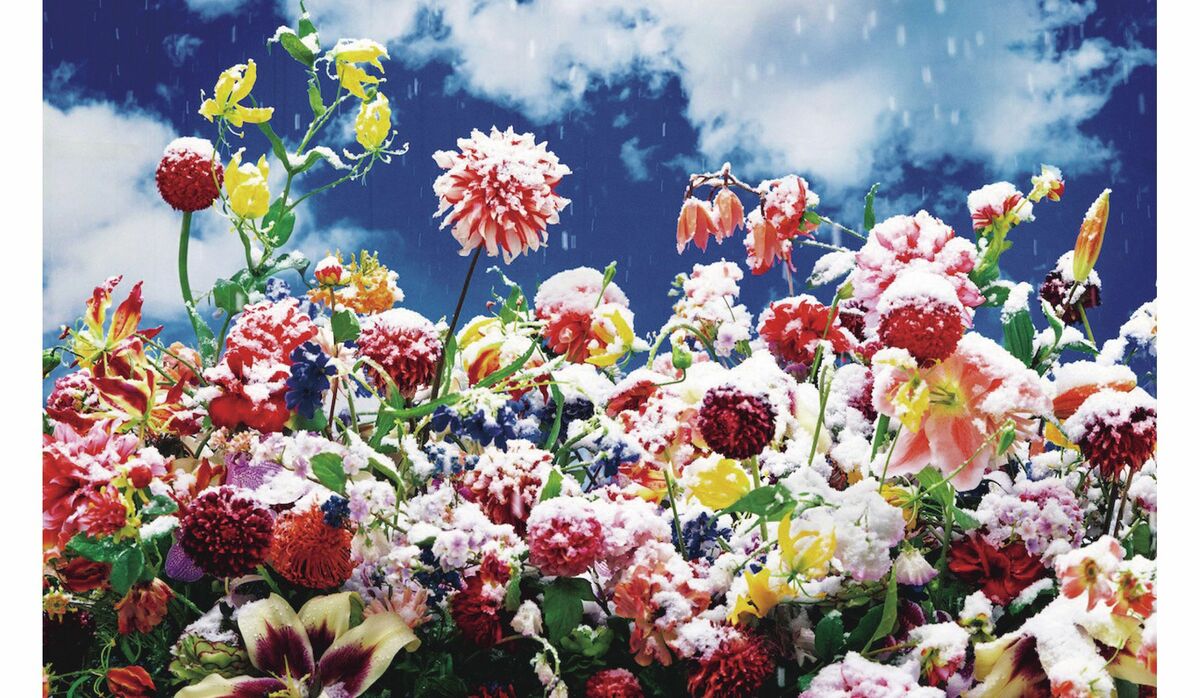 写真家・蜷川実花の魅力にフォーカス｜群馬県前橋市の公立美術館 