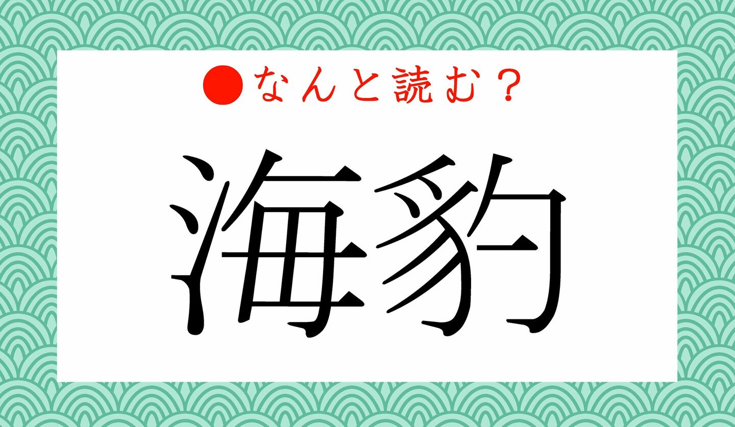 日本語クイズ　出題画像　難読漢字　「海豹」なんの動物？