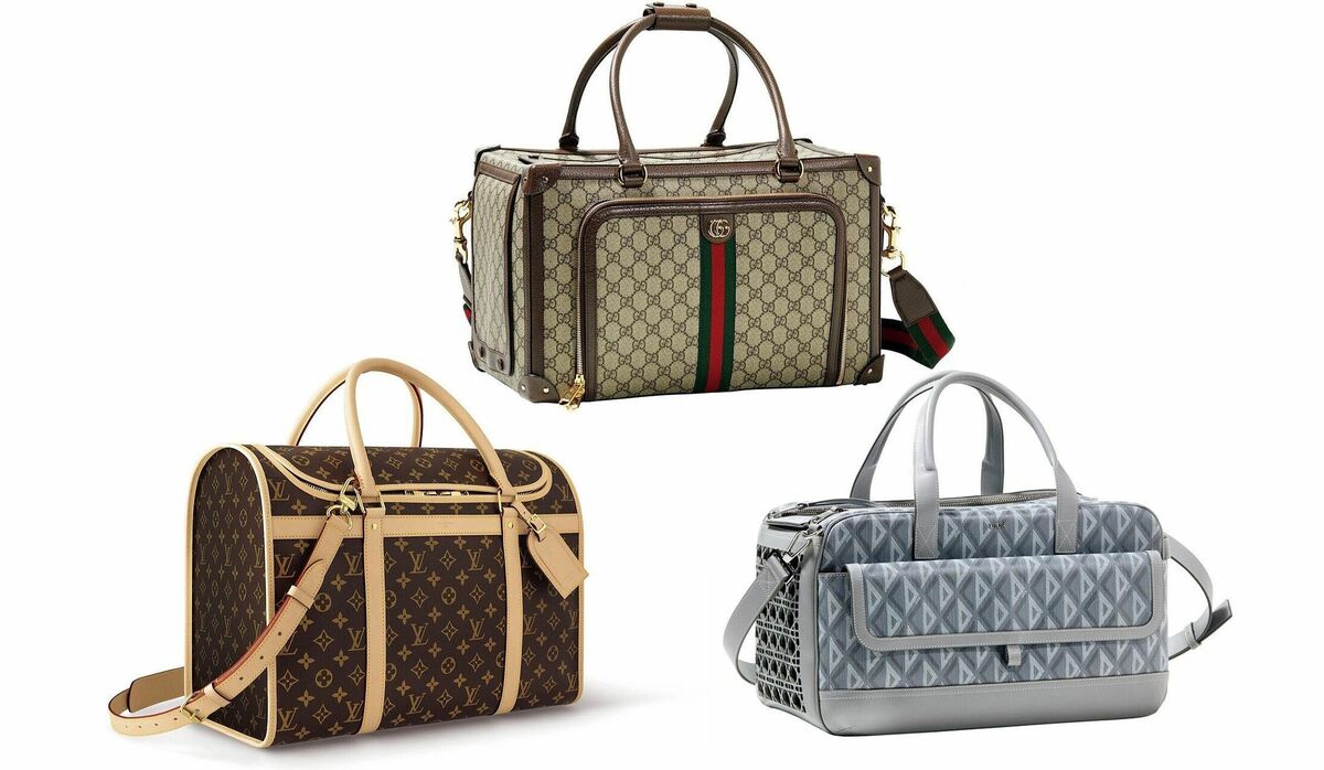 img_19558df3890b5003f3123bddae