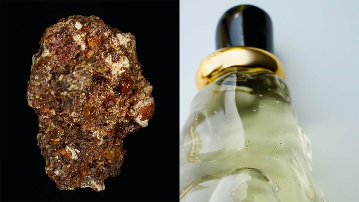 ボッテガ・ヴェネタのフレグランス「アルシミー」