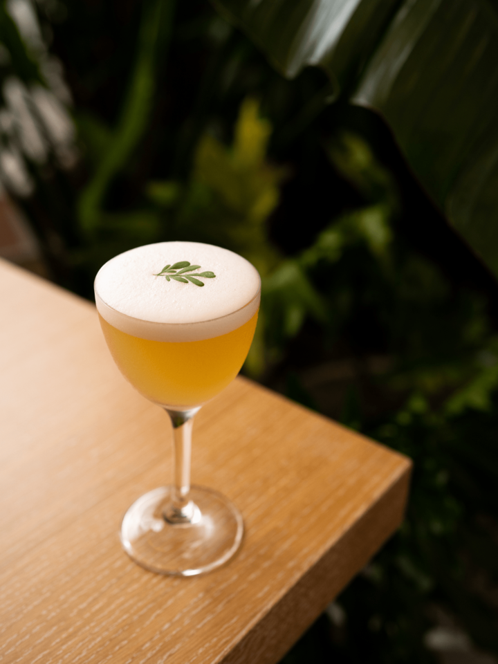 コモンルーサワー￥