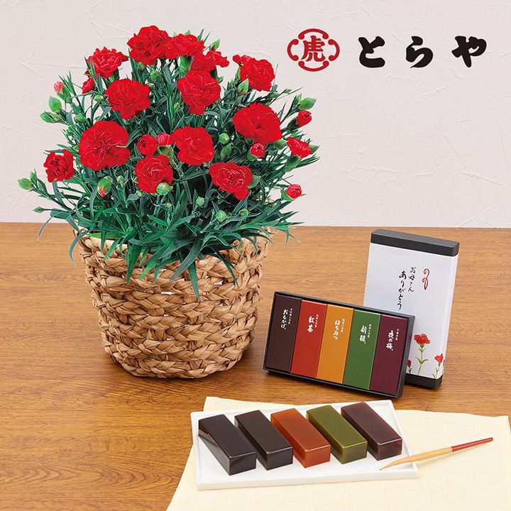 「小形羊羹5本入」と赤いカーネーション鉢のセット(とらや)