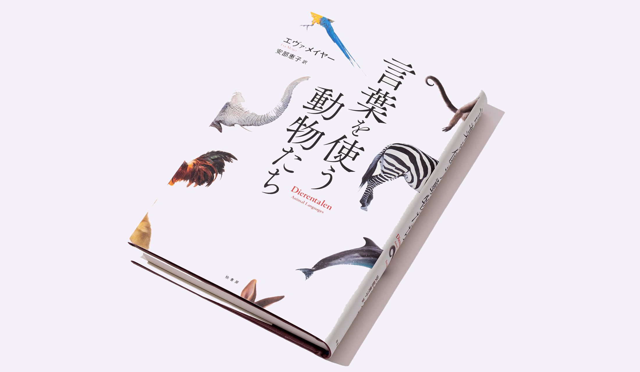 人間だけが言葉をもつわけではない 動物の言葉に対する視野がぐんと広がる名著 言葉を使う動物たち Precious Jp プレシャス