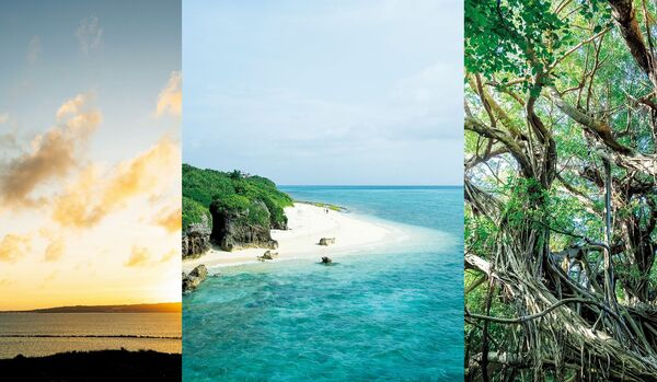 成熟した大人の旅の “終着点”「私たちはなぜ、こんなにも「沖縄」に魅せられるのか？」旅慣れた５人がその魅力を語ります