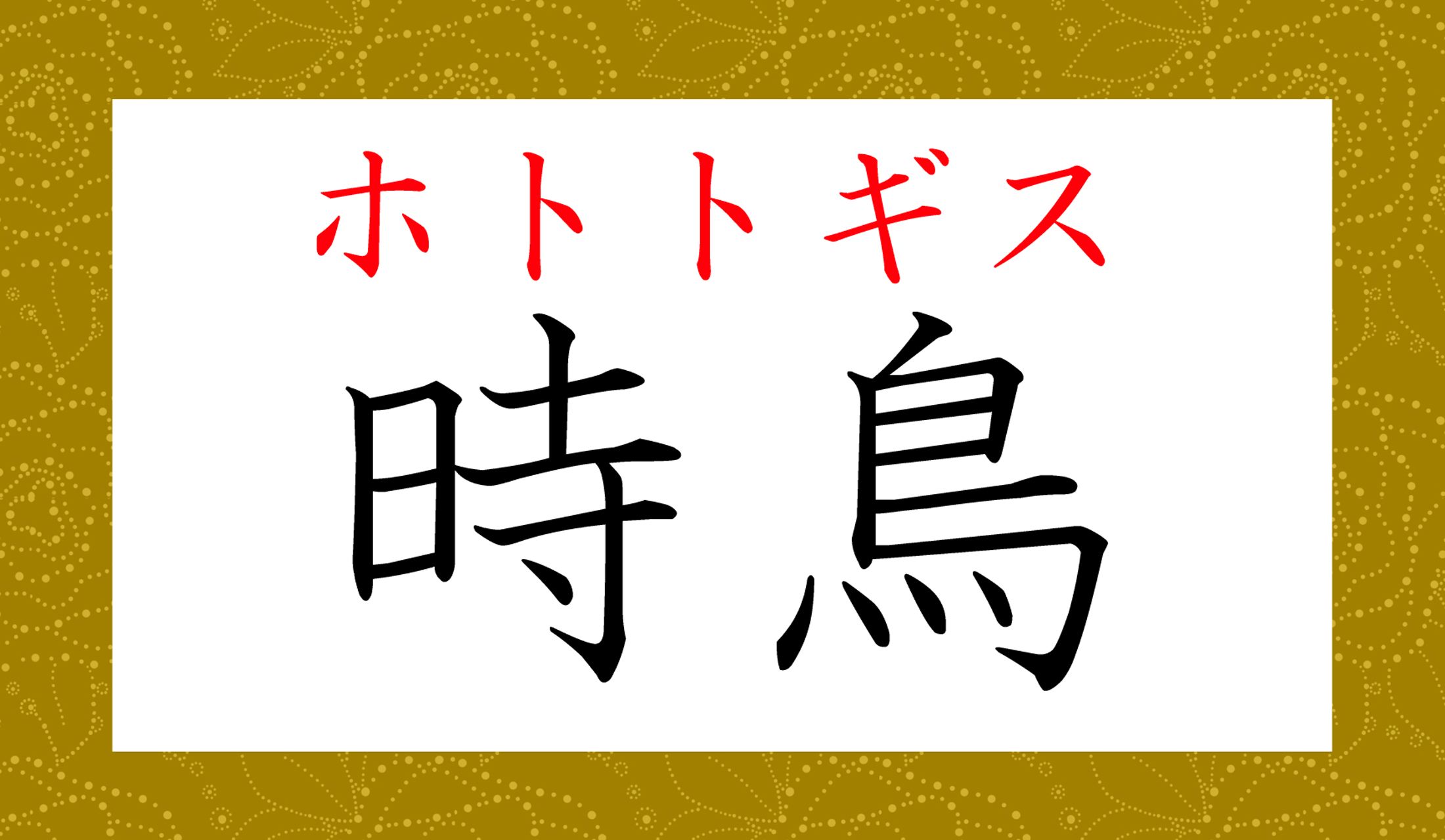 「杜鵑」「不如帰」などの表記もあります。