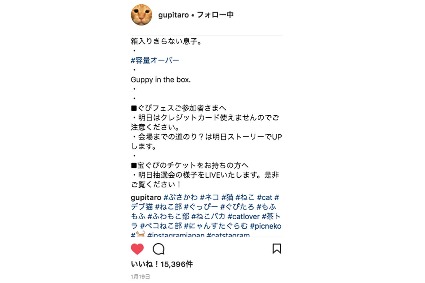 1月19日投稿のキャプションとコメント欄。翌日がイベント「ぐぴフェス」だったため、そのお知らせをキャプションに追記していました