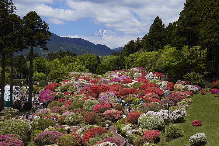 四季折々の草花が楽しめる大庭園、ゴールデンウィークの時期には色とりどりのツツジが見頃