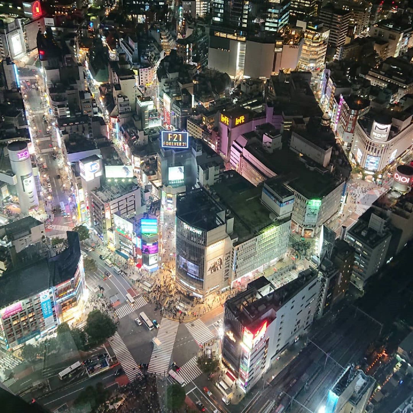 SHIBUYA SKY展望台からの景色。令和の渋谷の街をぜひその目でチェックしてみて。